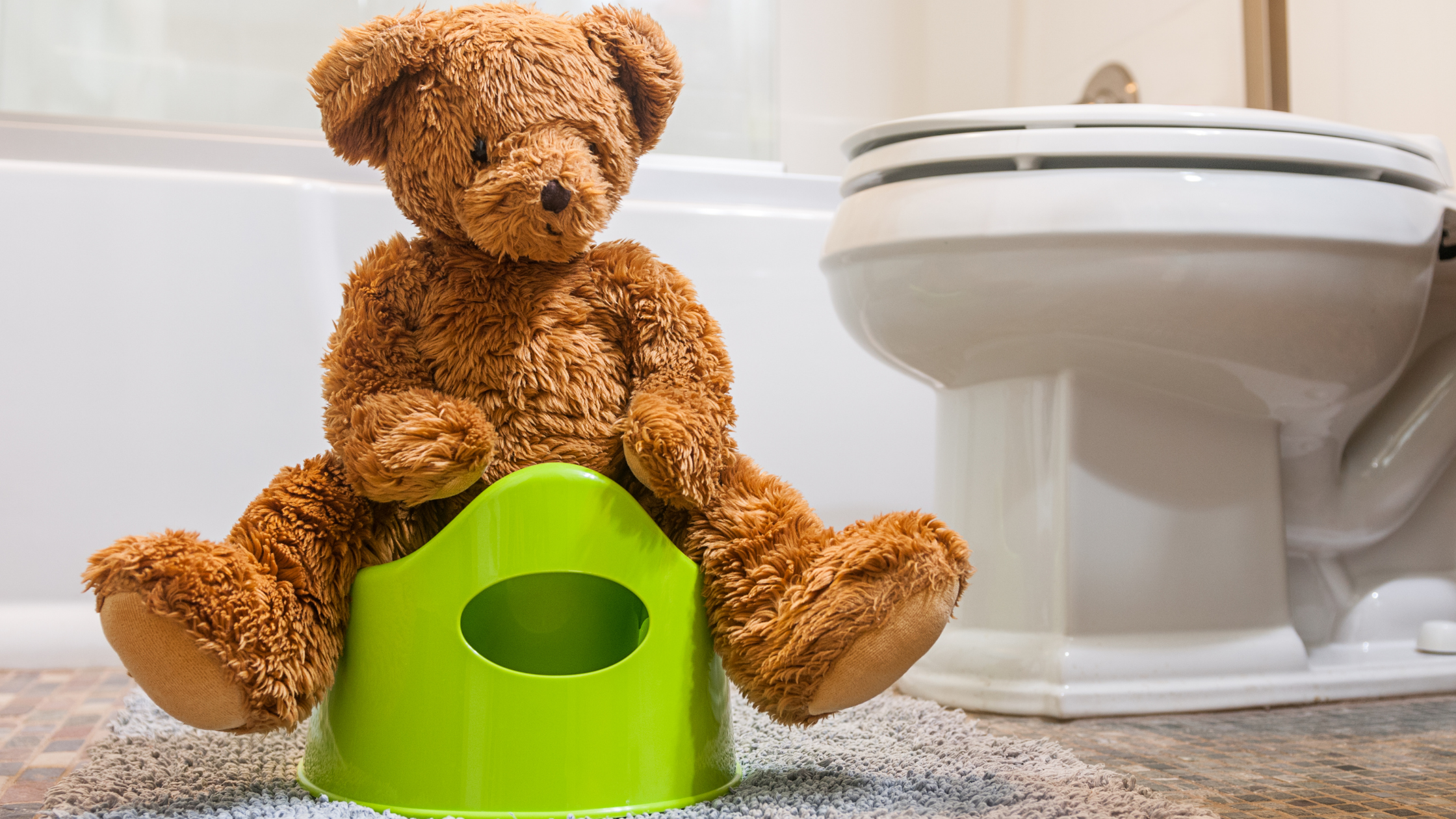 Potty Training Graphic for Website Blog